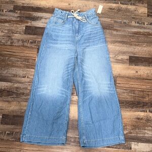 Pilcro Light Blue Wide Leg Flare Jeans